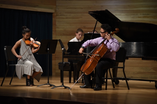 Piano Trio Chamber Music